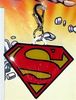 Superman Dog Collar Collars Charm Tag