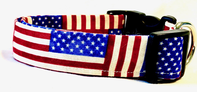 the dog collar store
