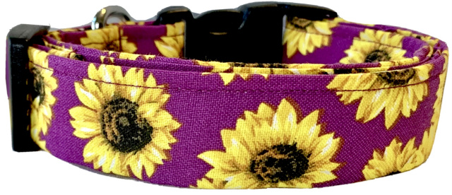 Sunflowers on Plum Handmade Dog Collar