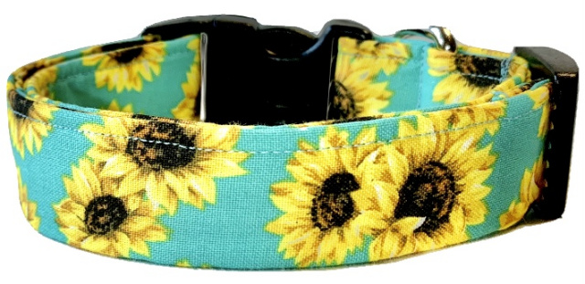 Sunflowers on Vibrant Teal Handmade Dog Collar
